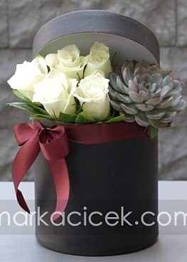 Kutuda Beyaz Güller ve Echeveria