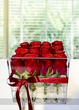 Sade ve Şık